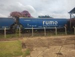 RUMO HTT-351724-1